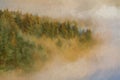 A Bamford Edge digital oil painting of trees and mist in the Peak District, UK