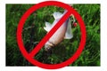 Ban on fishing, prevention of poaching. Crossed out sign with a fish in his hand. Prohibiting the concept of fishing Royalty Free Stock Photo