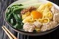 Ban Mian Chinese egg noodle soup with anchovies, meatballs and pak choi close-up in a bowl. horizontal Royalty Free Stock Photo