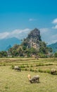 Ban Pakpo Countryside. Laos agriculture Royalty Free Stock Photo