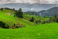 Ban Papongpieng Rice Terraces, Chiang Mai Royalty Free Stock Photo