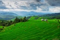 Ban Papongpieng Rice Terraces, Chiang Mai, Royalty Free Stock Photo