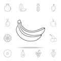 Banan icon. Fruit icons universal set for web and mobile