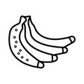 Banan icon vector illustration photo