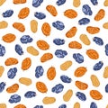 Raisin seamless pattern. Vector illustration of dried fruits