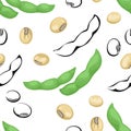 Soybean seamless pattern isolated on white background. Vector illustration of legumes and pods