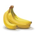 Banana Royalty Free Stock Photo