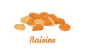 Golden raisins isolated on white background. Heap of dry grape.