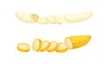 Banana as Elongated, Edible Fruit Covered with Yellow Rind Vector Set