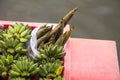 Banana and bamboo shoot on boat Royalty Free Stock Photo