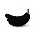 Banana. Bananas black color, isolated on white background. Black Banana with shadow vector icon. Bananas in modern simple flat Royalty Free Stock Photo