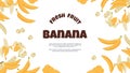 Banana banner. Yellow cartoon tropical fruit peeled and single on flat flyer promoting healthy vegan nutrition. Vector