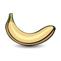 Banana. beautiful illustration of a tropical fruit. Food in a cartoon style Royalty Free Stock Photo