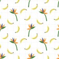 Banana and bird of paradise flower seamless pattern