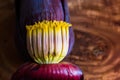 Banana blossom mocha, flowers of unripe banana in wooden background with copy space for text.