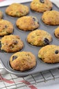 Banana blueberry muffins Royalty Free Stock Photo