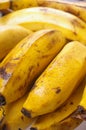 Banana bunch Royalty Free Stock Photo