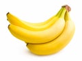 Banana bunch Royalty Free Stock Photo