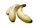 Banana bunch golden cavendish Royalty Free Stock Photo