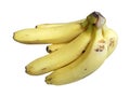 Banana bunch Royalty Free Stock Photo