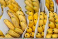 Banana bunch group on farmer market