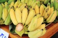 Banana bunch group
