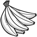 Banana Bunch illustration