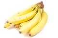 Banana bunch isolated Royalty Free Stock Photo