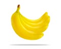 Banana bunch isolated  white background Royalty Free Stock Photo