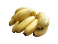 Banana bunch isolated Royalty Free Stock Photo
