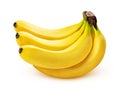 Banana bunch isolated on white background, closeup Royalty Free Stock Photo