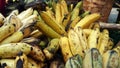 Banana bunch from Quezon Province Philippines