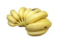Banana bunch 5 Royalty Free Stock Photo