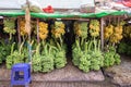 Banana bunches at the fruit market in Yangon, Burma Myanmar Royalty Free Stock Photo