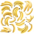 Banana bunches on the white background Royalty Free Stock Photo