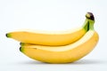 Banana bundle isolated