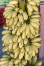 A banana closeup fruit Royalty Free Stock Photo