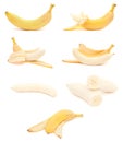 Banana collection