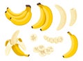 Banana collection vector illustration. Bunch of bananas, peeled and half-peeled banana. Sliced bananas and half of
