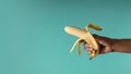 Banana Concept image. Hand Holding a Banana Peel against the blue background, Look like a Gun. Metaphor Photo. Clean and Minimal