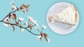 Banana cream custard pie Royalty Free Stock Photo