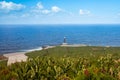 Banana cultivation on La Palma Island, Canary Islands, Spain Royalty Free Stock Photo