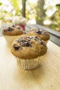 Banana cup cake with chocolate chip topping. Banana cup cake in foil cup Royalty Free Stock Photo