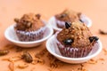 Banana cupcakes with insect foods Royalty Free Stock Photo