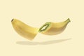 Banana cut and kiwi inside. Sureal minimal pop atr collage.