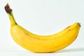 Banana Paper - Deep Purple Free Stock Photo - Public Domain Pictures