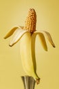 Corn is in a banana food manipulation concept