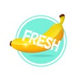 Banana drink label design. Fresh tropical fruit juice sticker illustration Royalty Free Stock Photo