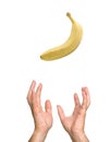 Banana falling to hands