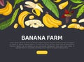 Banana farm landing page. Natural exotic fruit production, agricultural company website vector illustration